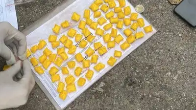 КНБ, Алматы, Алматинская область, нарколаборатория, алматинка, спецоперация, фото - Новости Zakon.kz от 16.04.2024 13:28