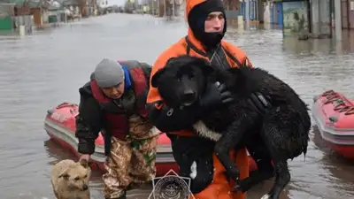 Северо-Казахстанская область, фото - Новости Zakon.kz от 17.04.2024 03:00