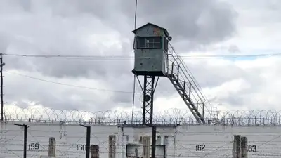 Мужчина убил знакомого и переехал на машине, фото - Новости Zakon.kz от 16.04.2024 18:04