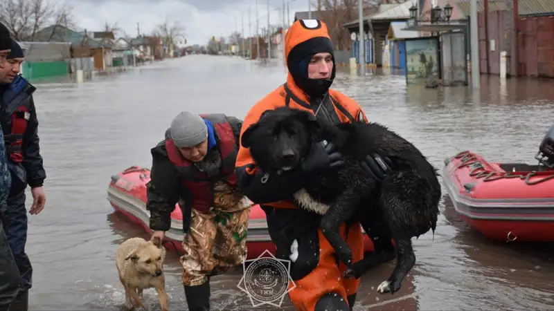 Противопаводковые мероприятия в Северо-Казахстанской области проводятся в круглосуточном режиме