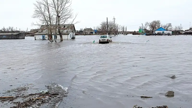 Депутаты просят строго наказывать за фейки в период паводков