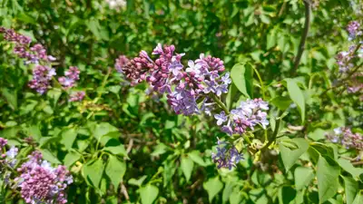 Какой будет погода в Казахстане 18 апреля, фото - Новости Zakon.kz от 17.04.2024 17:03