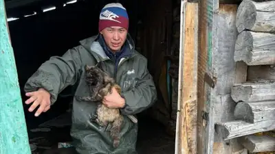 Опубликовано видео спасения животных в затопленном Петропавловске, фото - Новости Zakon.kz от 18.04.2024 16:50