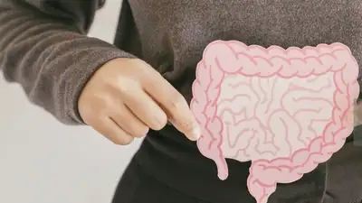 Врач составила топ-8 главных продуктов для пищеварения, фото - Новости Zakon.kz от 20.04.2024 04:07