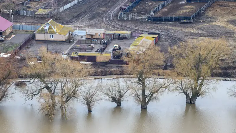 Паводки в цифрах: сколько средств уже выплачено пострадавшим