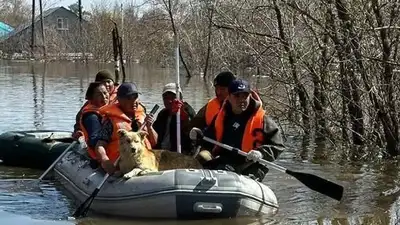 В подтопленных районах СКО и ЗКО продолжают эвакуацию, фото - Новости Zakon.kz от 19.04.2024 08:30