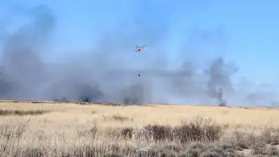 Больше суток тушат пожар на территории заповедника в Алматинской области 