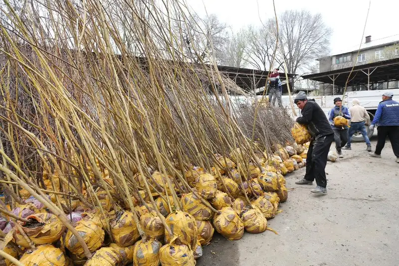 Более 1 тыс. скворечников: все больше алматинцев присоединяются к кампании 