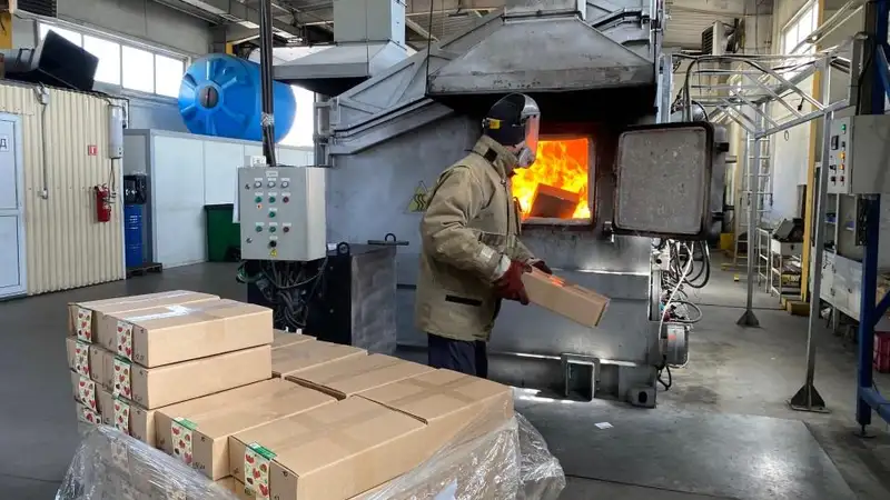 Почти 3 тысячи штук семян помидоров из России сожгли в Астане