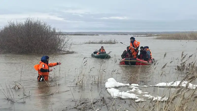 Аида Балаева объяснила запрет для СМИ на работу в зоне паводков