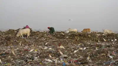 В Индии горит гигантская свалка, фото - Новости Zakon.kz от 22.04.2024 09:26