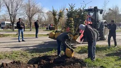 Более 90 тысяч саженцев посадят в городах и районах Карагандинской области, фото - Новости Zakon.kz от 23.04.2024 10:15