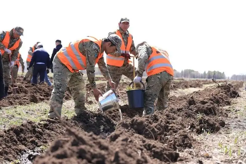 В Караганде восстанавливают выгоревший лес, фото - Новости Zakon.kz от 23.04.2024 13:29