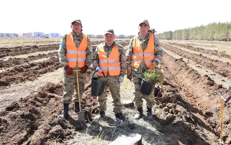 В Караганде восстанавливают выгоревший лес, фото - Новости Zakon.kz от 23.04.2024 13:29