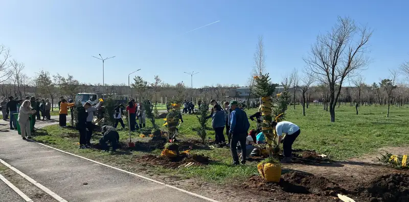 Более 90 тысяч саженцев посадят в городах и районах Карагандинской области , фото - Новости Zakon.kz от 23.04.2024 10:15