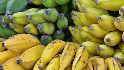 Чем отличаются зеленые и желтые бананы, фото - Новости Zakon.kz от 23.04.2024 16:21