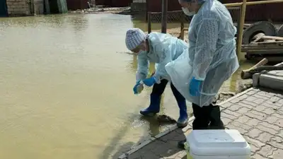 Стала известна эпидемиологическая ситуация в затопленном Кульсары , фото - Новости Zakon.kz от 24.04.2024 00:03