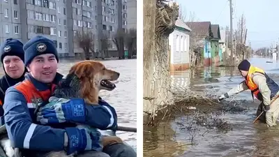наводнение в России, фото - Новости Zakon.kz от 24.04.2024 19:08