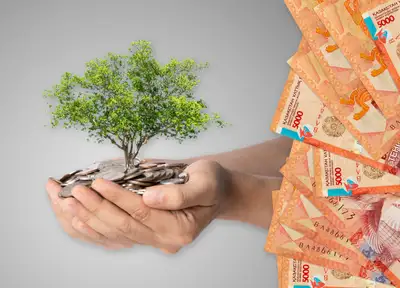 Деньги, земля, покупка земли, фото - Новости Zakon.kz от 23.11.2024 08:09