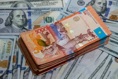 Доллары и тенге, деньги, обмен валют, Казахстан, фото - Новости Zakon.kz от 24.01.2025 15:38