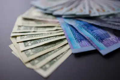 Курс доллара вырос на торгах 29 мая - «Финансы»