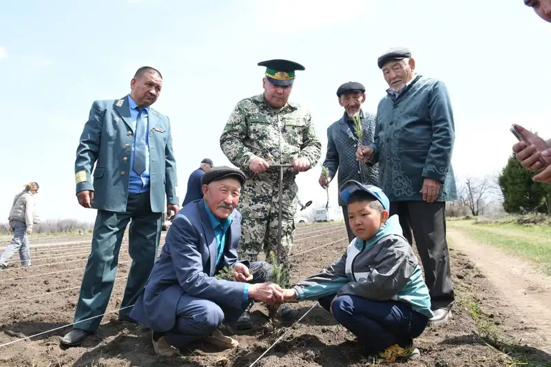 посадка деревьев, фото - Новости Zakon.kz от 24.04.2024 19:36