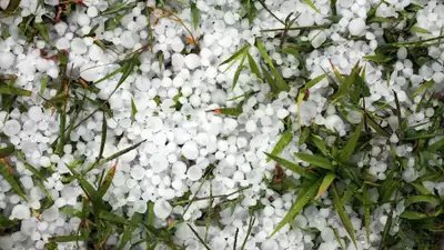 Мокрый снег, град и ливни ожидаются в Казахстане 25 апреля
