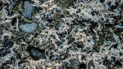 Синоптики перечислили регионы Казахстана, в которых почва еще не оттаяла