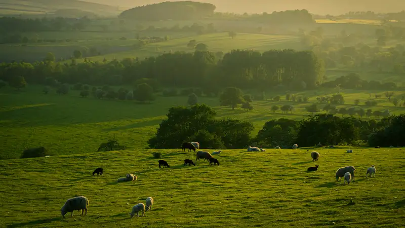 Пастбища, предназначенные для нужд казахстанцев, незаконно передали в земельный фонд