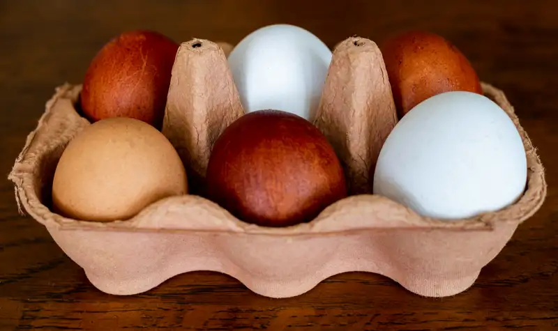 Затем добавьте смесь в воду, где будет происходить окрашивание яиц., фото - Новости Zakon.kz от 25.04.2024 16:18