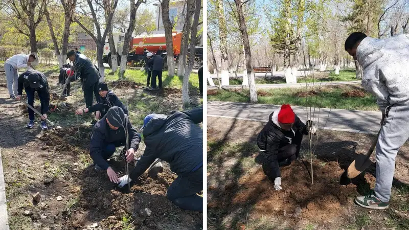 Экибастузский парк станет зеленее