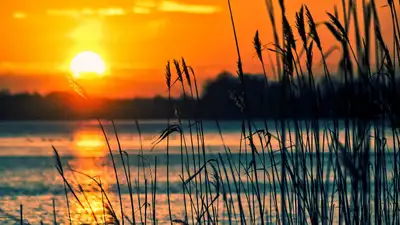 Уровень воды в Балхаше поднялся на 15 см, фото - Новости Zakon.kz от 25.04.2024 18:54