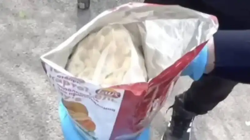 Крупную партию мефедрона изъяли полицейские Шымкента