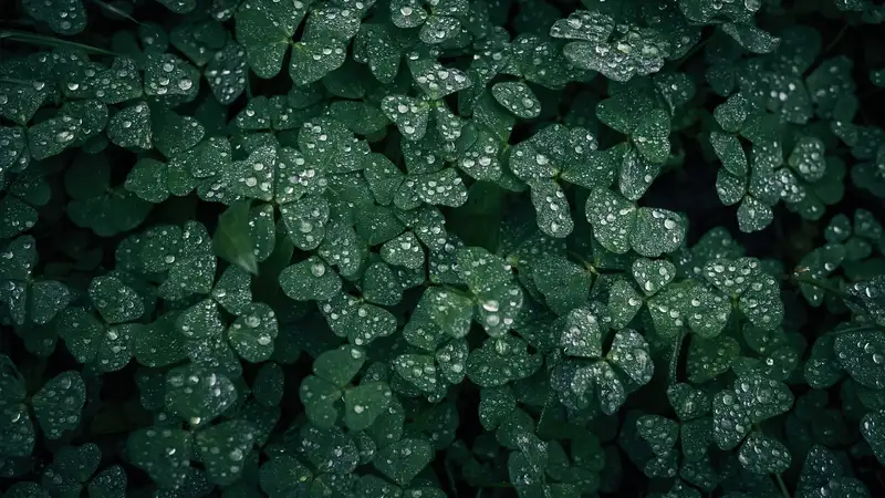 В Алматы и Шымкенте – дожди с грозами, в Астане – заморозки: прогноз от "Казгидромета"