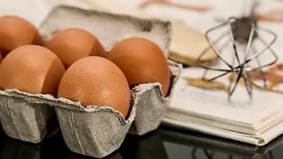 введен запрет на ввод яиц