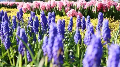 В каких городах РК обещают неблагоприятные метеоусловия 27 апреля, фото - Новости Zakon.kz от 27.04.2024 02:20