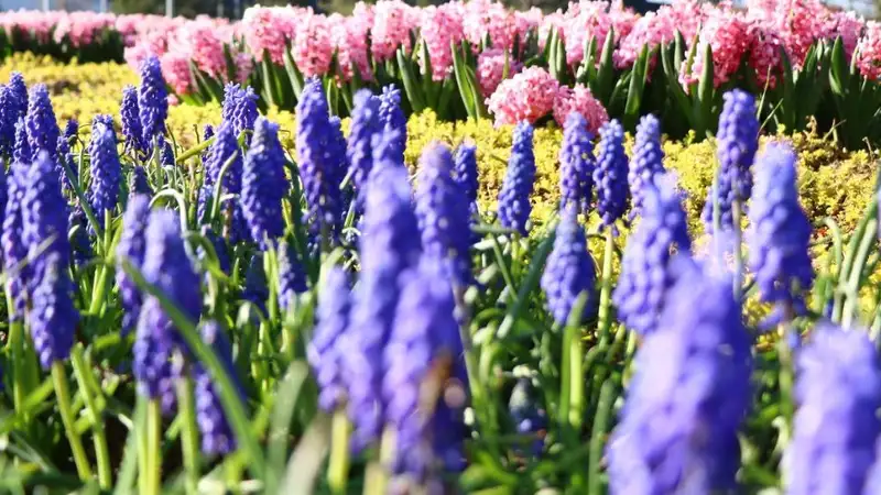 В каких городах РК обещают неблагоприятные метеоусловия 27 апреля