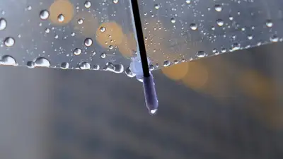 прогноз погоды, фото - Новости Zakon.kz от 26.04.2024 17:32