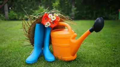 как работа в огороде влияет на человека, фото - Новости Zakon.kz от 26.04.2024 21:31