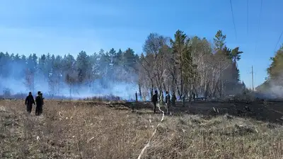 Названа причина пожара в &quot;Семей орманы&quot;, фото - Новости Zakon.kz от 26.04.2024 16:04