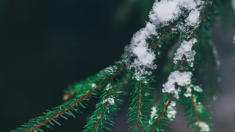 В Казахстан вновь вернутся заморозки, снег и ливень