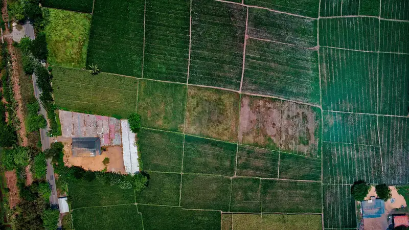 465 га земли незаконно сдали в аренду в Жамбылской области
