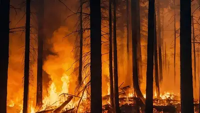 В ВКО четверых оштрафовали за несоблюдение правил пожарной безопасности, фото - Новости Zakon.kz от 27.04.2024 08:08