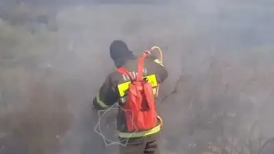 тушение пожара, фото - Новости Zakon.kz от 27.04.2024 15:48