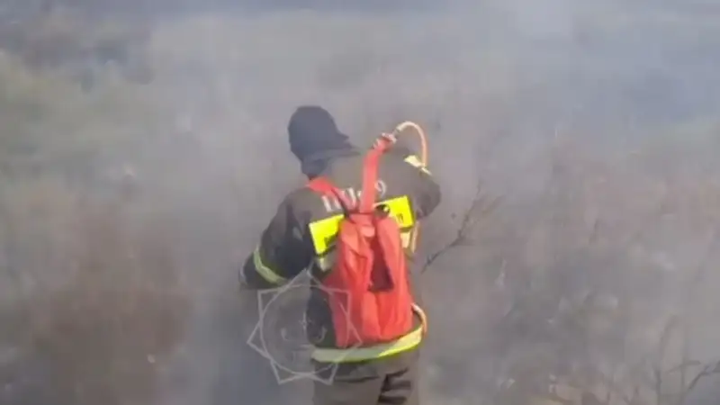 В горах ВКО загорелась трава на площади почти два гектара