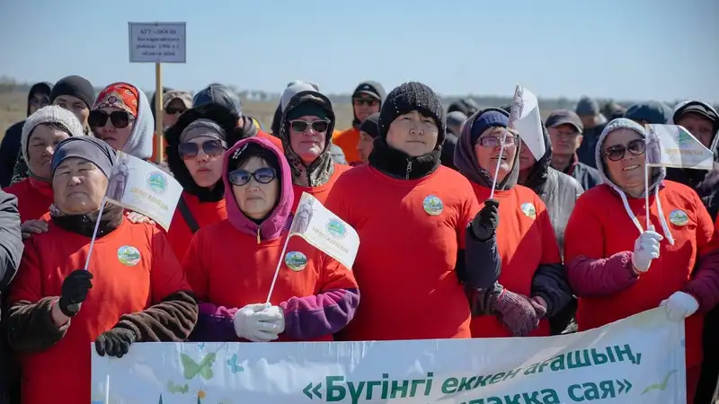 Оберегая природу – в области Абай высадили более 60 тысяч саженцев сосны, фото — Новости Zakon.kz от 27.04.2024 14:13