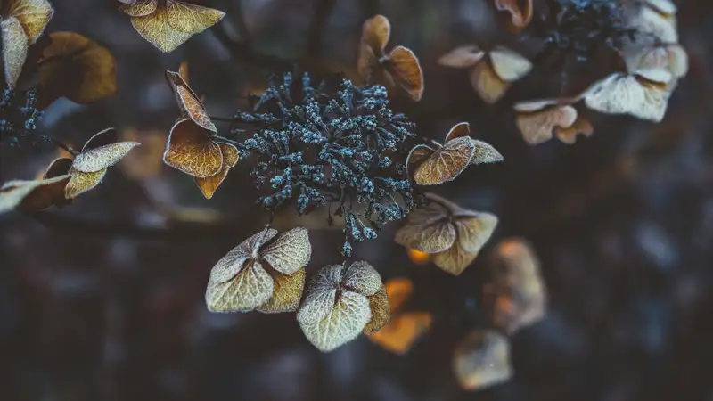 Сильные осадки и заморозки вновь ожидаются в Казахстане