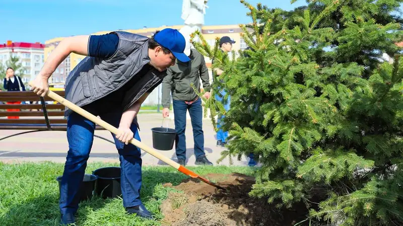 Более 123 тысяч деревьев посадили в Актюбинской области за неделю