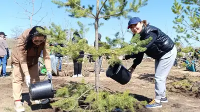 посадка деревьев, фото - Новости Zakon.kz от 27.04.2024 18:36