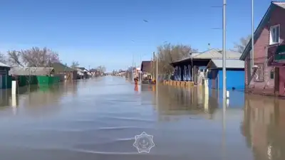 паводки, фото - Новости Zakon.kz от 28.04.2024 18:27